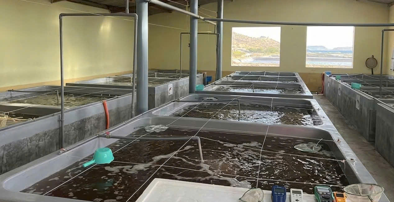 Cung cấp giống thủy sản